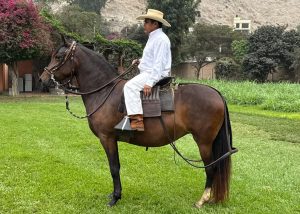 GCLP Alejandra